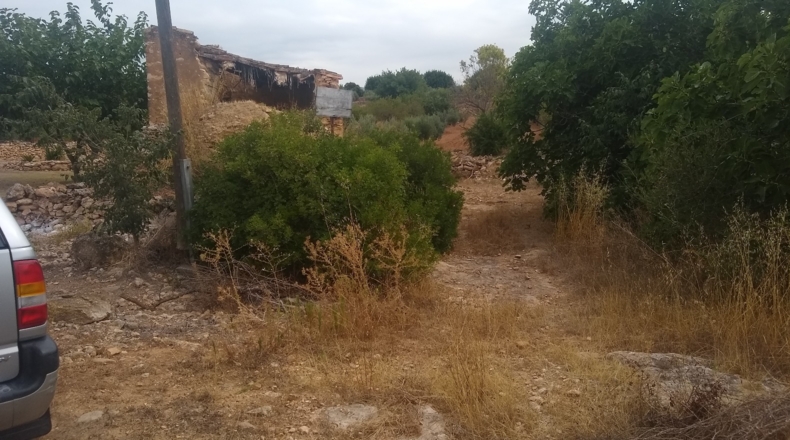 Castellón - Useras - 12400m2