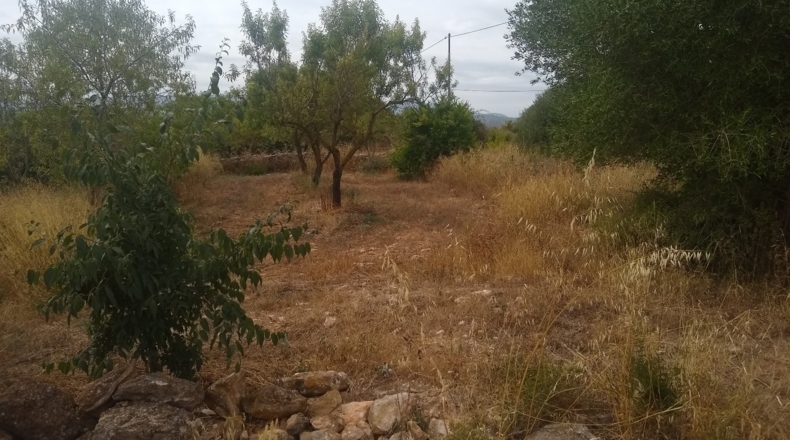 Castellón - Useras - 12400m2