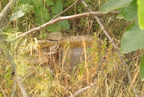 Foto 8
