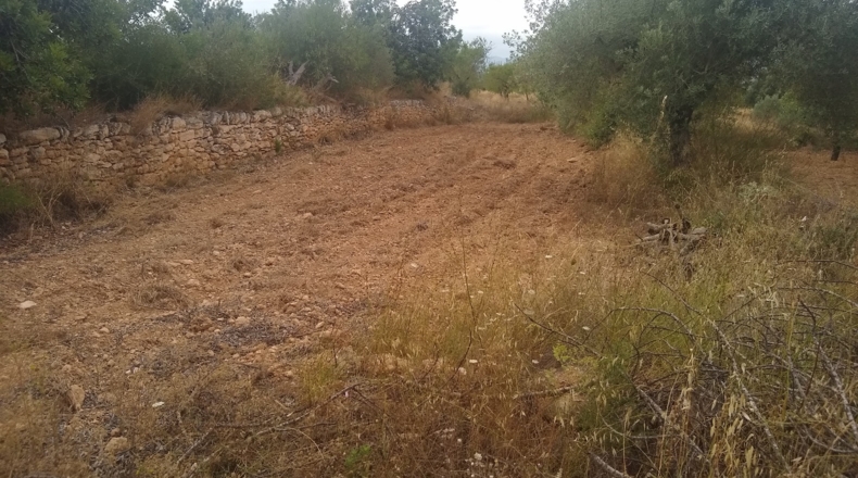 Castellón - Useras - 12400m2