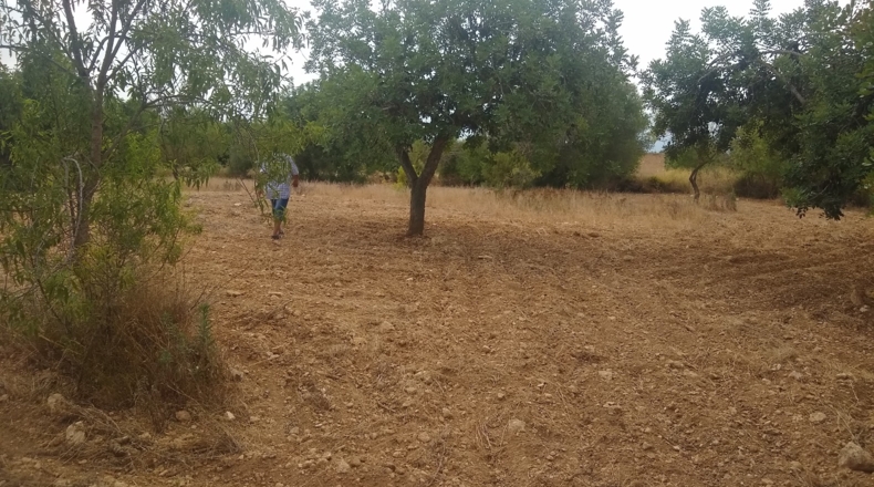 Castellón - Useras - 12400m2