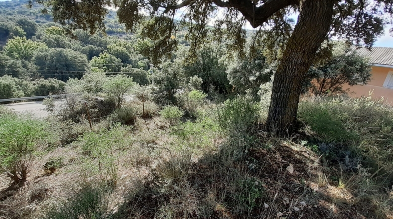 Guadalajara - Fuentenovilla - 890m2