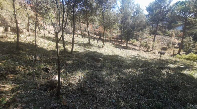 Barcelona - Seva - 850m2