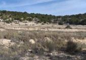 Finca rústica en venda a la Bugaia de Dalt, Relleu, ref.: TR47883 foto