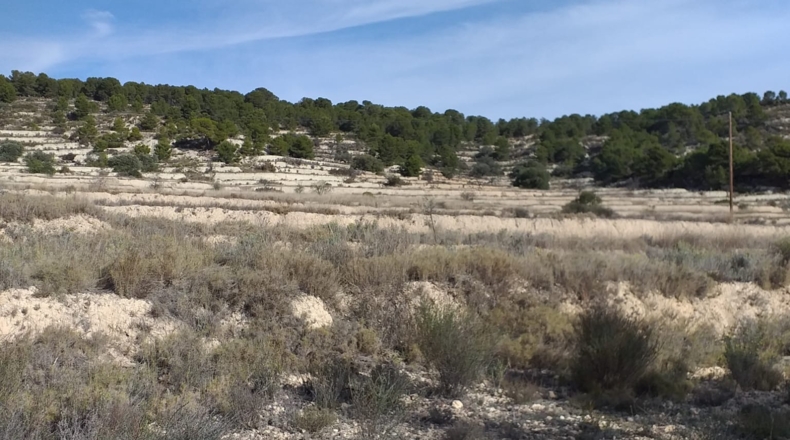 Alicante - Relleu - 320000m2