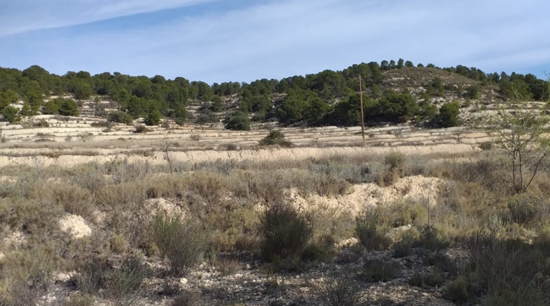 Alicante - Relleu - 320000m2