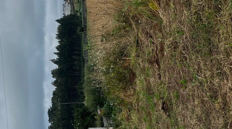 La Coruña - Carballo - 1500m2