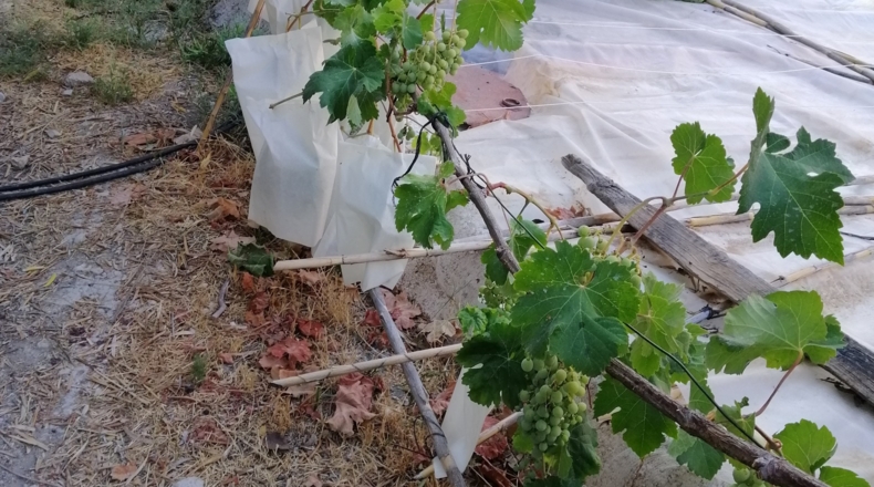 Alicante - Alicante - 75m2