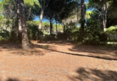 Sòl urbà en venda a la Luxemburgo 118, Conil de la Frontera, ref.: TR48848 foto