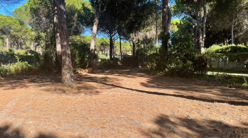 Cádiz - Conil de la Frontera - 1168m2