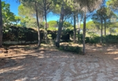 Sòl urbà en venda a la Luxemburgo 118, Conil de la Frontera, ref.: TR48848 foto