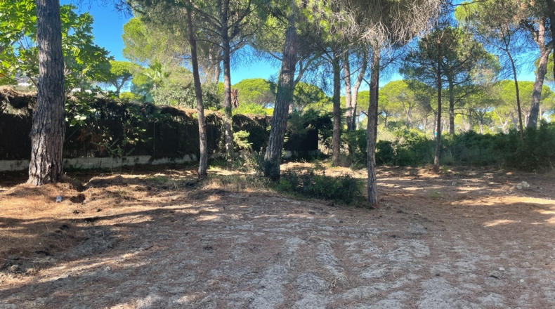 Cádiz - Conil de la Frontera - 1168m2