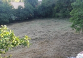 Terreno no urbanizable en alquiler en la Polígono 512, Barrio de Bricia, ref: TR55867 foto