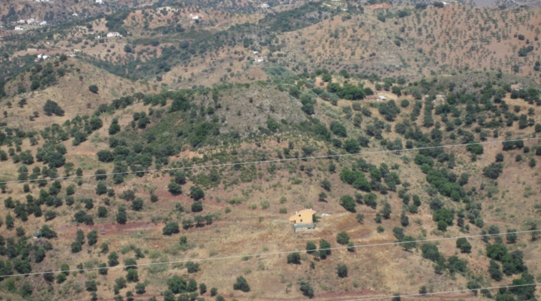 Málaga - Almogía - 437487m2