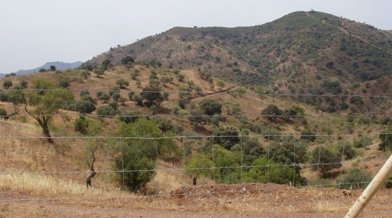 Málaga - Almogía - 437487m2