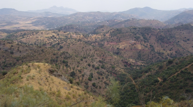 Málaga - Almogía - 437487m2