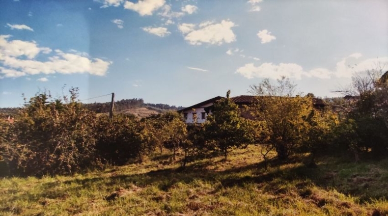 Vizcaya - Arratzu - 2367m2