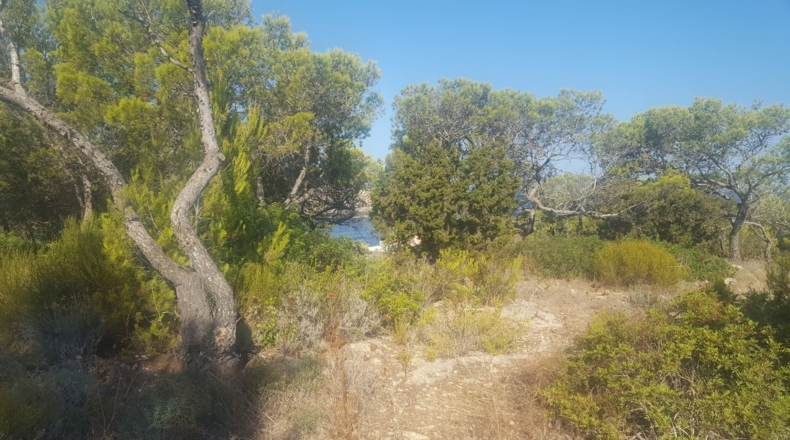 Islas Baleares - Portinatx - 3000m2