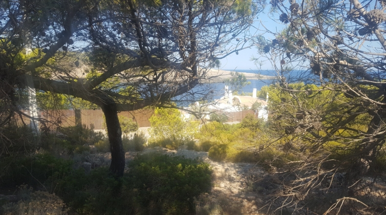 Islas Baleares - Portinatx - 3000m2