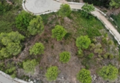 Land suitable for development for sale on Avinguda del pinars, Vallirana, ref: TR49354 photo