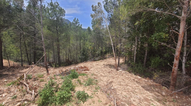 Tarragona - les Planes del Rei - 1000m2