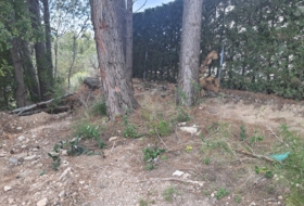 Foto 8