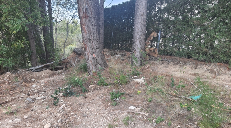 Tarragona - les Planes del Rei - 1000m2