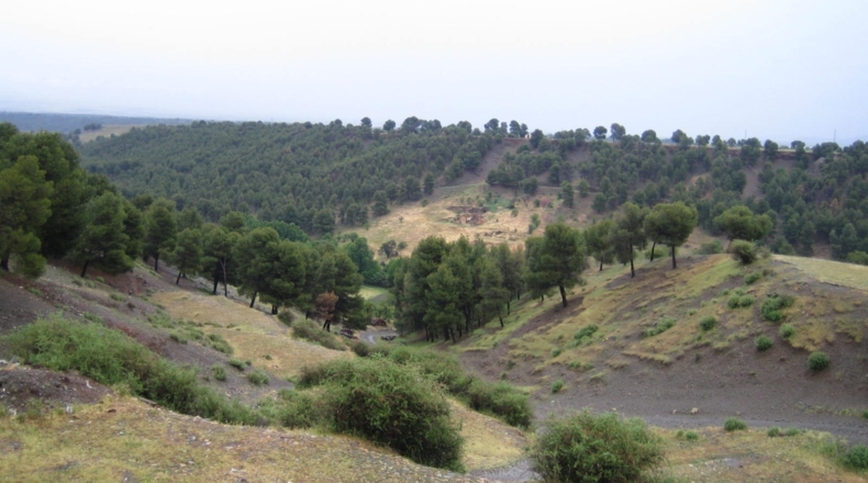 Granada - Albuñán - 438m2
