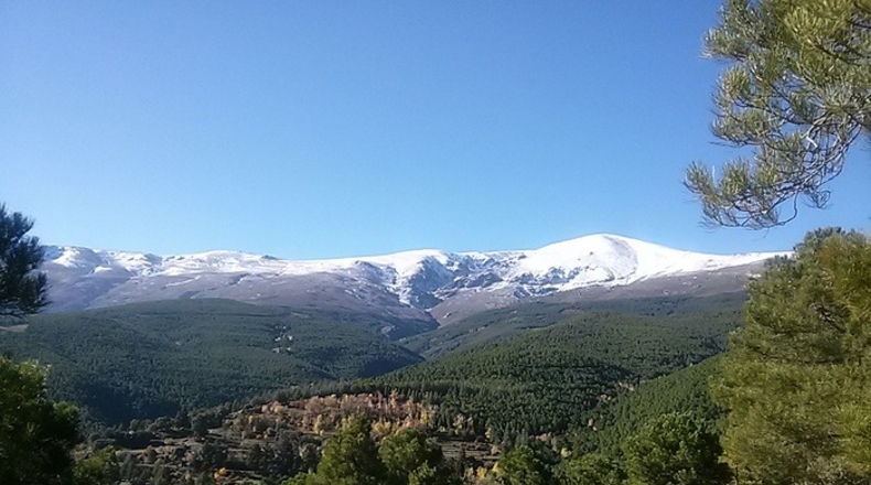 Granada - Albuñán - 438m2