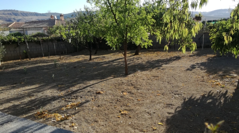 Granada - Pantano de los Bermejales - 570m2