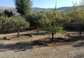 Sòl urbà en venda a la Pantano de los Bermejales, ref.: TR49742 foto