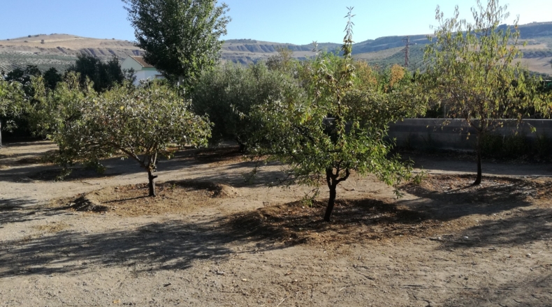 Granada - Pantano de los Bermejales - 570m2