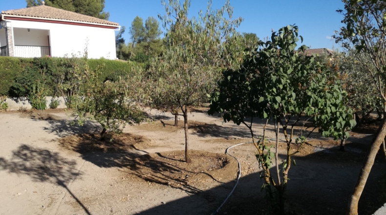 Granada - Pantano de los Bermejales - 570m2