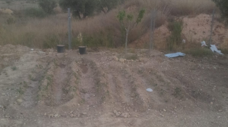 Alicante - San Vicente del Raspeig - 3600m2