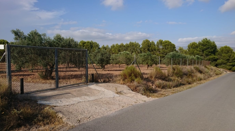 Alicante - Sax - 10300m2