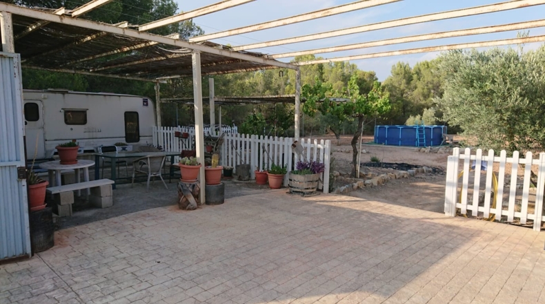 Alicante - Sax - 10300m2