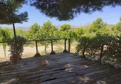 Casa prefabricada amb terreny en venda a la busot, Busot, ref.: TR49750 foto