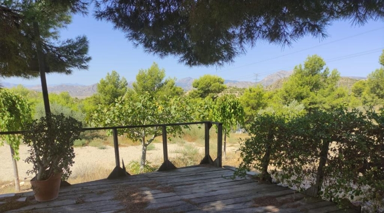 Alicante - Busot - 11600m2