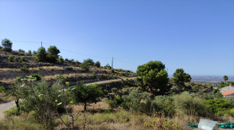 Alicante - Busot - 11600m2