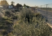 Casa de camp amb terreny en venda a la CV-849, El Altet, ref.: TR49748 foto