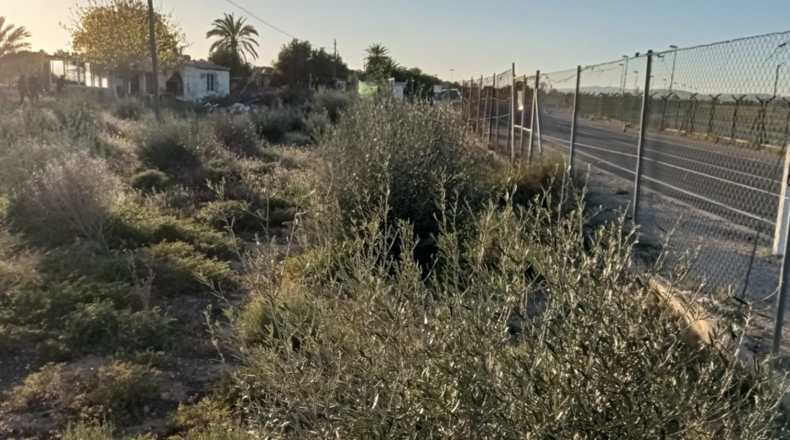 Alicante - El Altet - 1485m2
