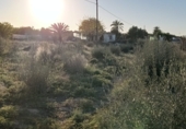 Casa de camp amb terreny en venda a la CV-849, El Altet, ref.: TR49748 foto