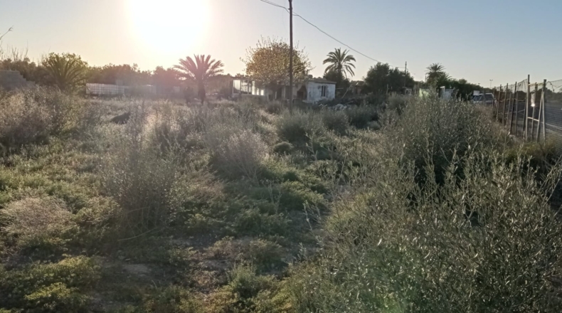 Alicante - El Altet - 1485m2