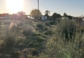 Casa de camp amb terreny en venda a la CV-849, El Altet, ref.: TR49748 foto