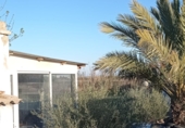 Casa de camp amb terreny en venda a la CV-849, El Altet, ref.: TR49748 foto