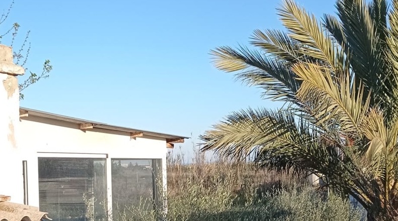 Alicante - El Altet - 1485m2