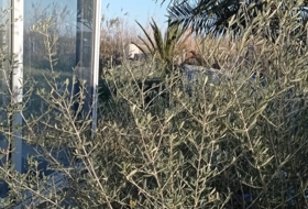 Foto 19