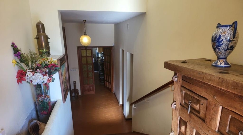 Málaga - Fuengirola - 400m2