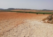 Non-developable land for sale on Las Judarras, Tobarra, ref: TR50107 photo