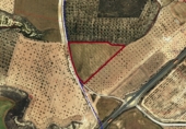 Non-developable land for sale on C-12, Alcanó, ref: TR51250 photo